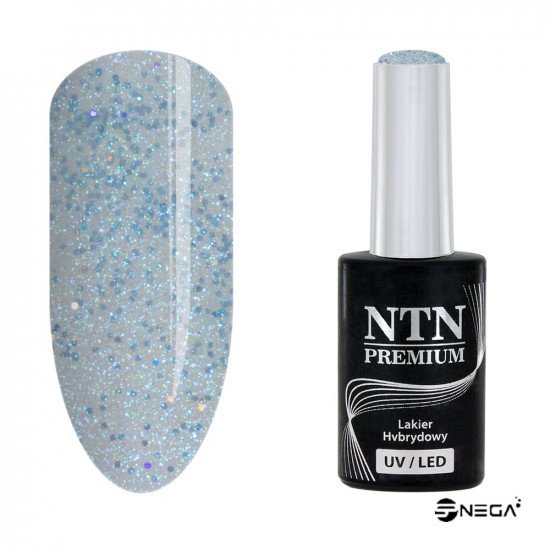NTN PREMIUM gel polish for nails 073 Highly pigmented gel polishes