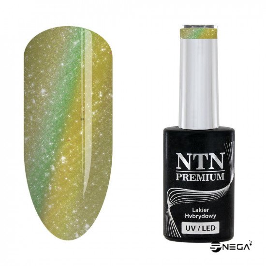 NTN PREMIUM magnetic gel nail polish 219 NTN PREMIUM magnetic gel nail polish 219 Magnetic colour gel nail polish CAT EYE