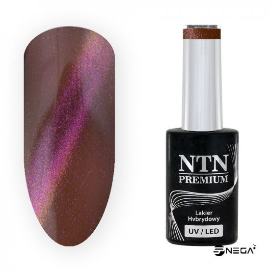 NTN PREMIUM magnetic gel nail polish 225 Magnetic colour gel nail polish CAT EYE