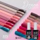 NTN PREMIUM gel polish for nails 208 NTN PREMIUM gel polish for nails 208 Highly pigmented gel polishes