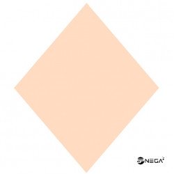 DIPPN Foundation acrylic powder, 25gr