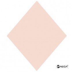 DIPPN Nude acrylic powder, 25gr