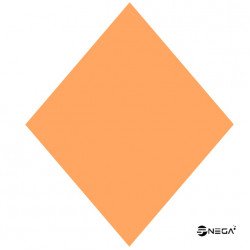 DIPPN Orange acrylic powder, 25gr