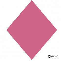 DIPPN Chew Chew acrylic powder, 25gr