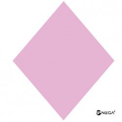 DIPPN Shine acrylic powder, 25gr