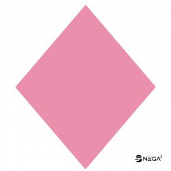 DIPPN Gossip acrylic powder, 25gr