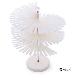 Color Chart natural color for 120 colors