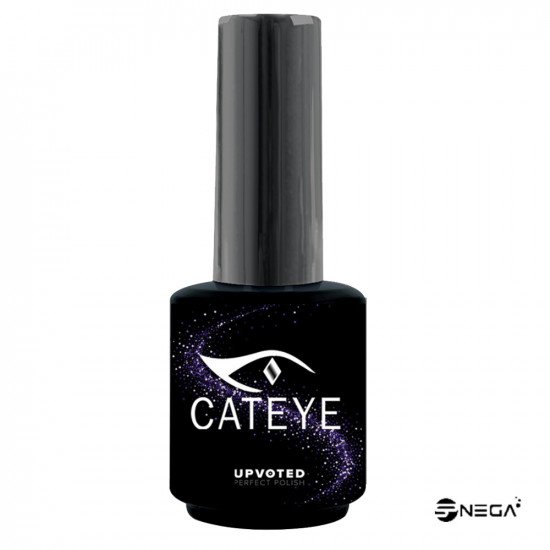 NP UPV CatEye gel polish lak #004 Gel Polish laki 15 ml profesionalni