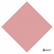 NP Rubber Up Lynn Gel Polish