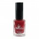 Nail Lacquer 11 ml., NP 51