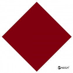 Nail VEGAN Lacquer 15 ml., NP 209