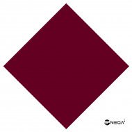 Lak u boji - profesionalni VEGANSKI, 15 ml., NP 210