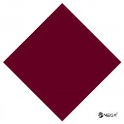 Nail VEGAN Lacquer 15 ml., NP 210