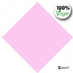 Nail VEGAN Lacquer 15 ml., NP 133