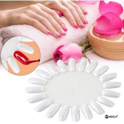 COLOUR PALETTE natural color for 20 colors