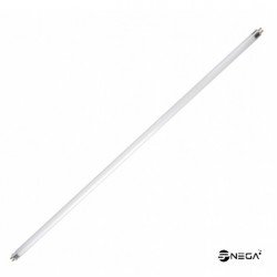 ŽARNICA 20 W HLADNA bela svetloba ŽARNICA 20 W HLADNA bela svetloba